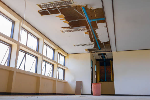 Best Water damage cleanup near me  in Swansea, IL