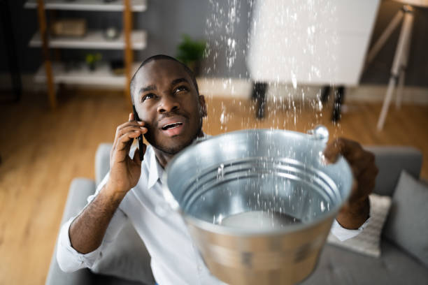 Best Water damage mitigation services  in Swansea, IL