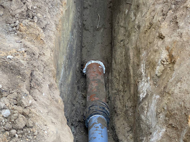 Best Flood damage cleanup  in Swansea, IL