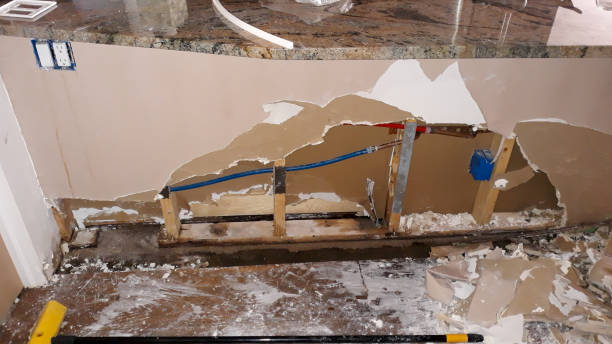 Best Flooded house restoration  in Swansea, IL