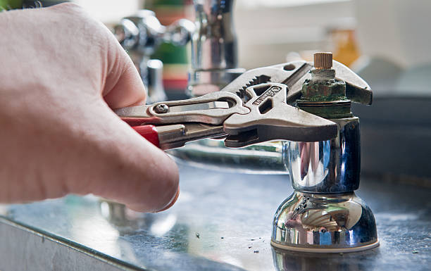 Best Water damage repair service  in Swansea, IL
