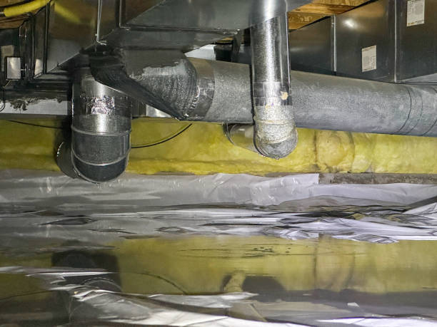 Best Water damage contractors near me  in Swansea, IL