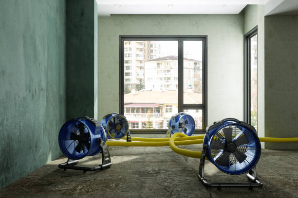 Best Flood restoration services  in Swansea, IL
